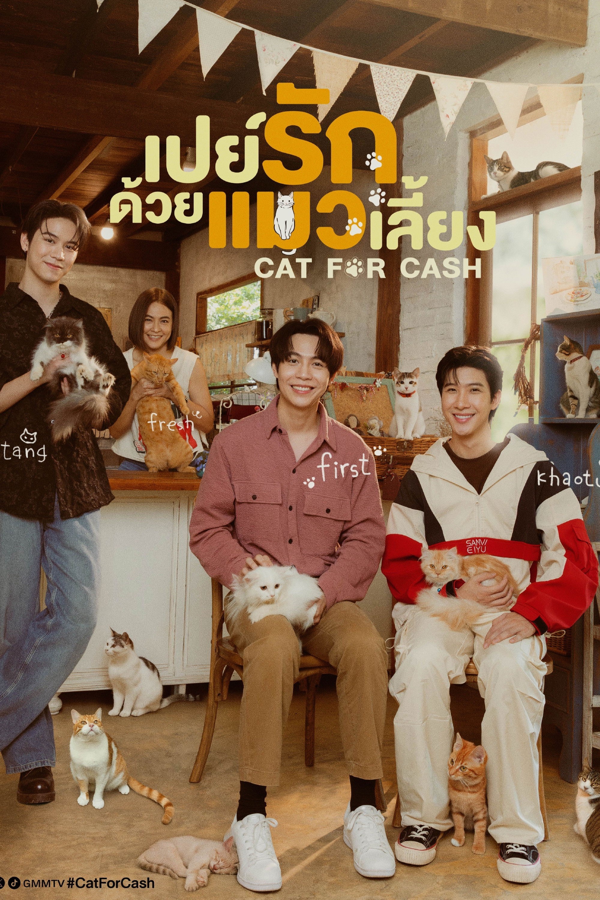 Xem phim Đổi Tình Lấy Mèo