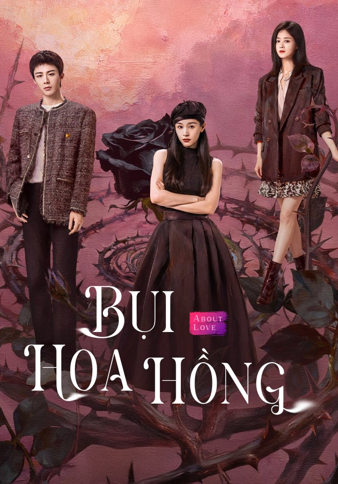 Xem phim Bụi Hoa Hồng