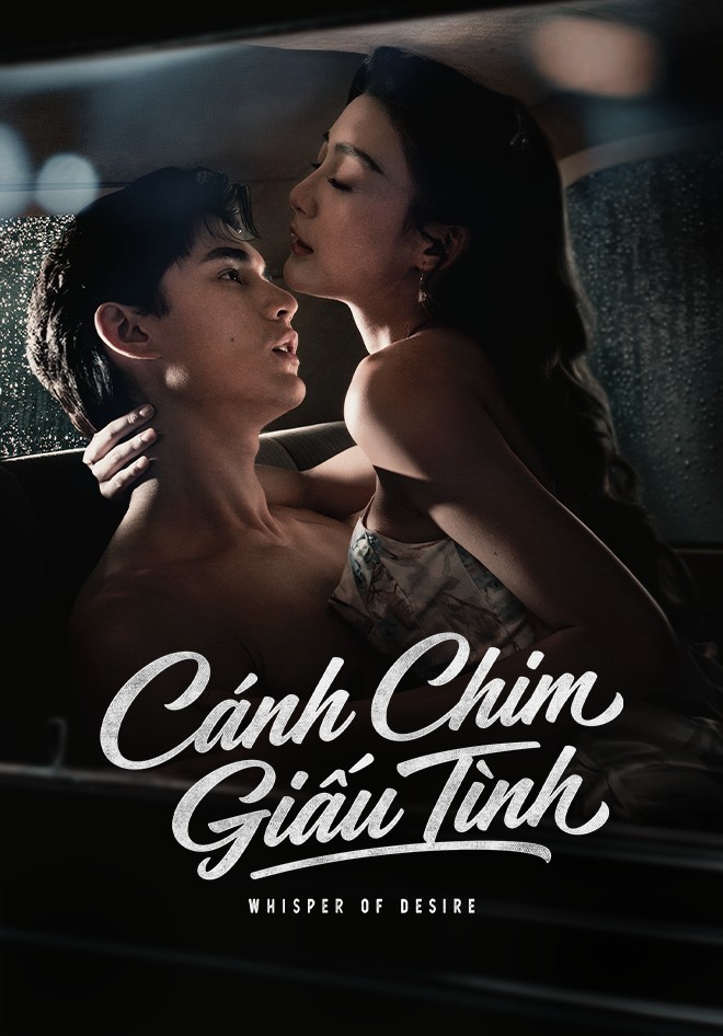 Xem phim Cánh Chim Giấu Tình (Thuyết Minh)
