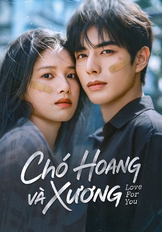 Xem phim Chó Hoang Và Xương